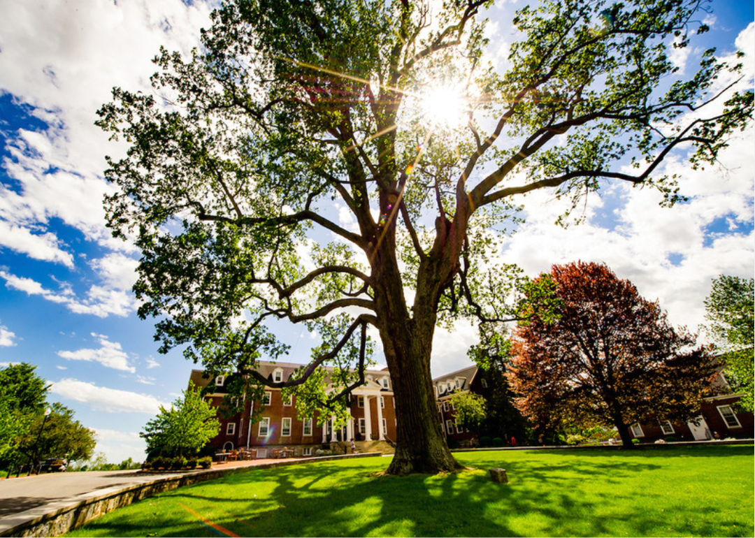 best-boarding-schools-in-america-stacker